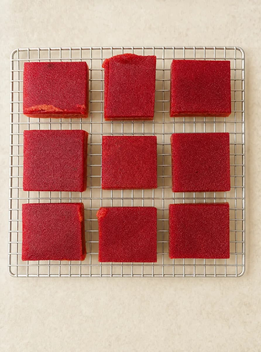 Juniper Jumping Jello — Overhead